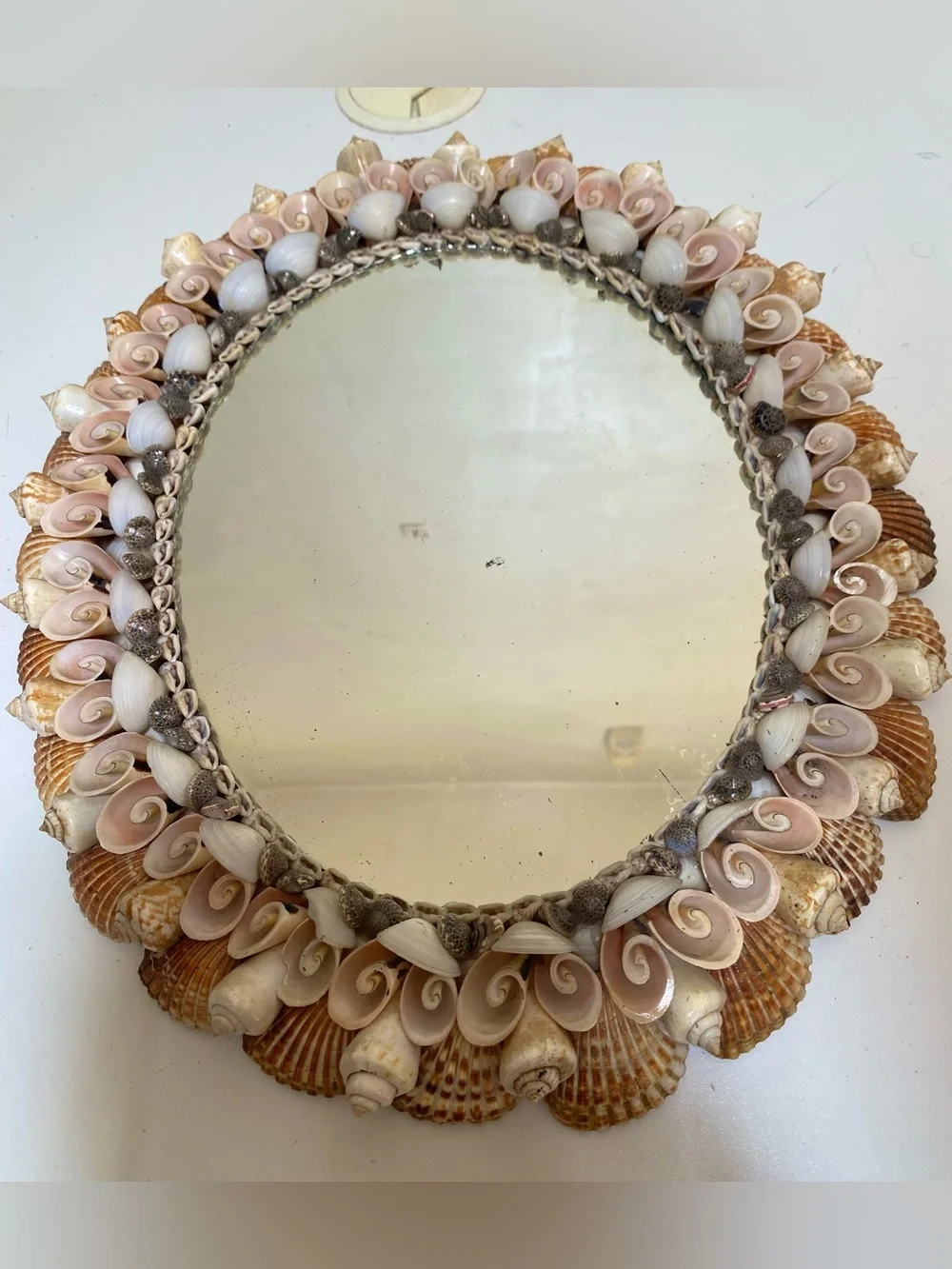 Vtg. Vintage Coquillage Seashell Oval Mirror Natural Shell Pastel Palette